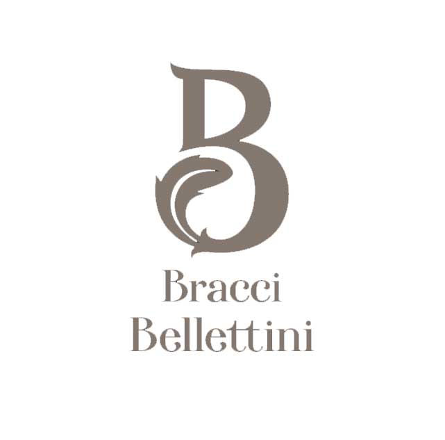 bracci_logo.jpg