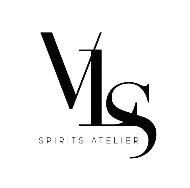 vls_logo.jpg
